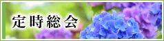定時総会
